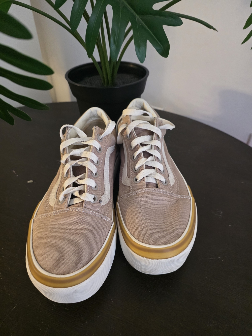 Vans Men's Low-Top Canvas Sneakers in Beige with White Laces